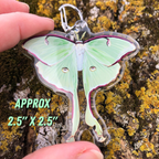Luna Moth Keyring