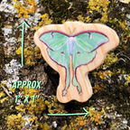Luna Moth Wooden Pin