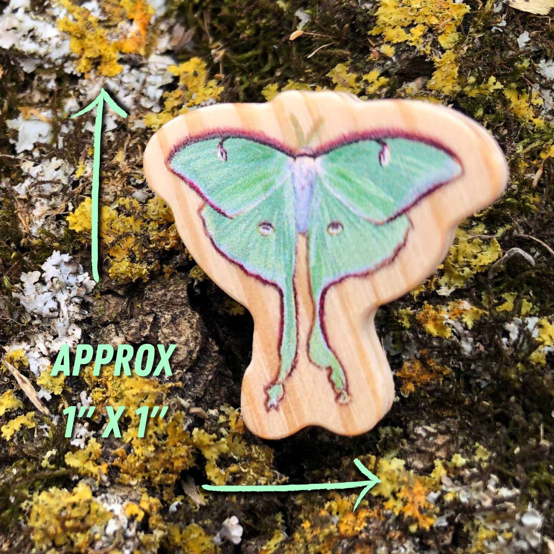 Luna Moth Wooden Pin