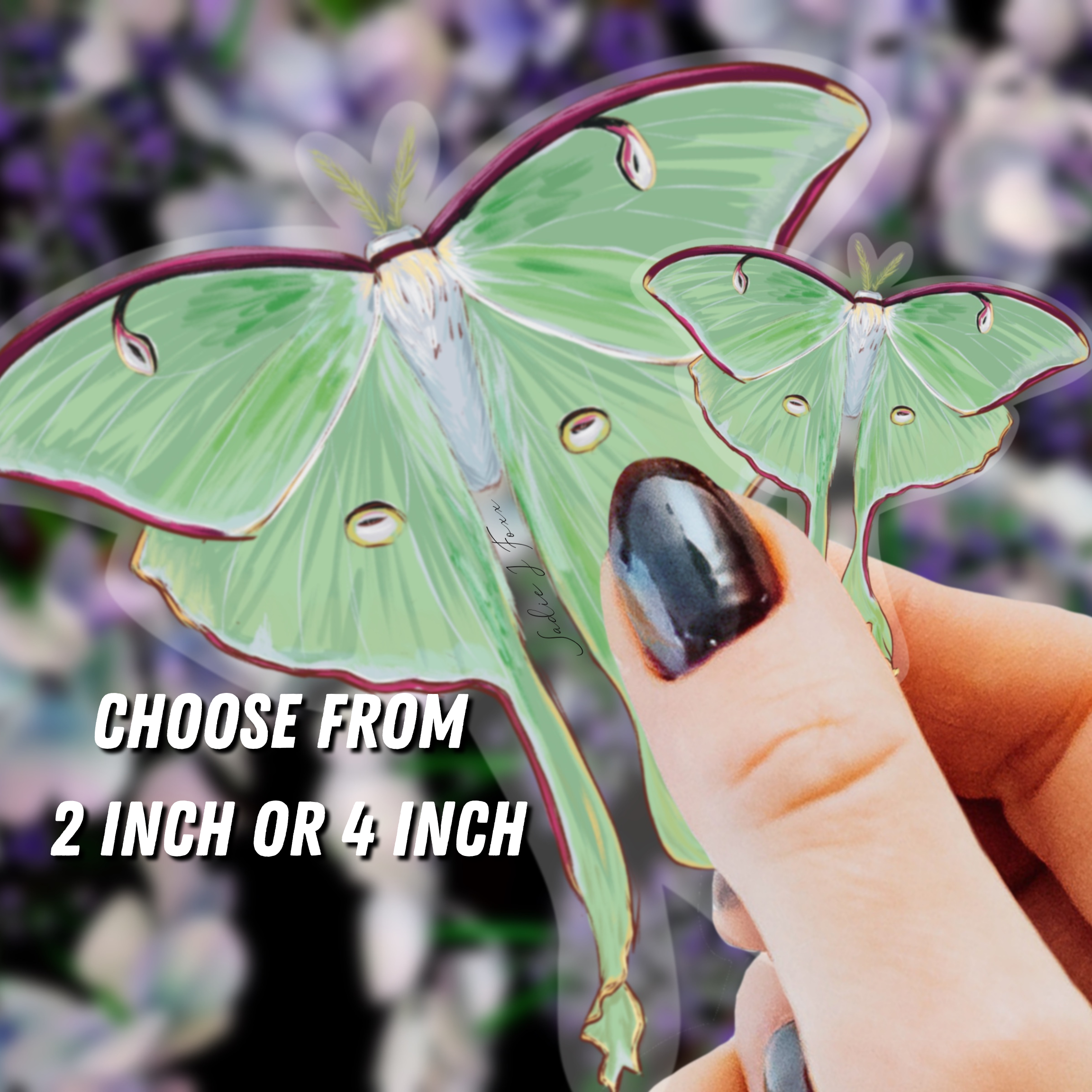 Luna Moth Sticker